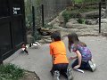 Kids_DFWzoo_3-2016 (245)